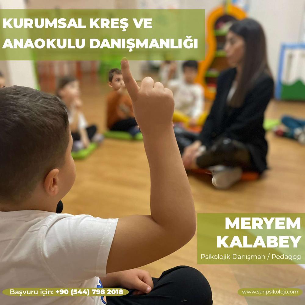 Kurumsal Kreş ve Anaokulu Danışmanlığı